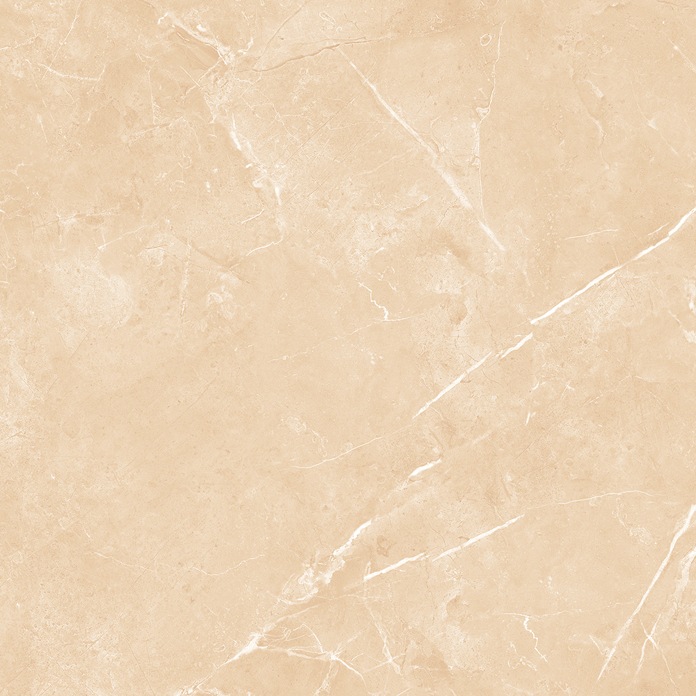 SAVANA-21.A.612.1912